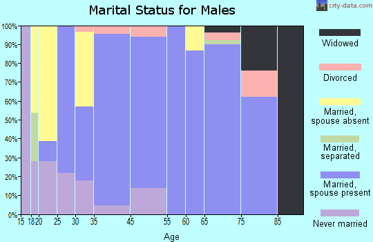 Bryn Athyn marital status for males