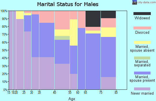 Bryn Mawr marital status for males