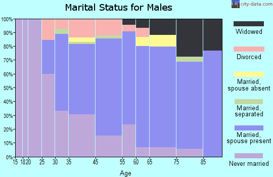 Burgettstown marital status for males