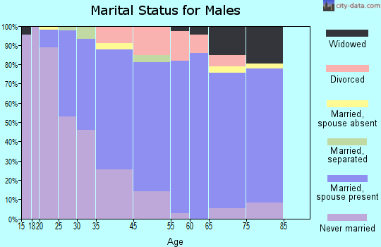 Castle Shannon marital status for males