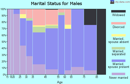 Catasauqua marital status for males