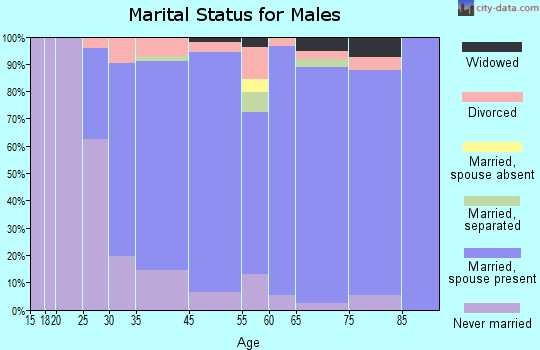 Churchill marital status for males