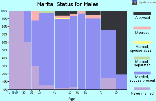 Churchville marital status for males