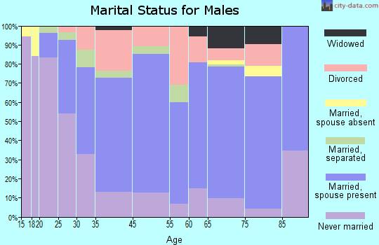 Connellsville marital status for males