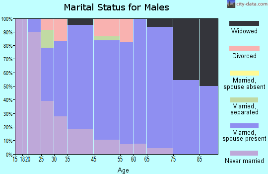 Courtdale marital status for males