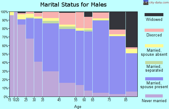 El Cerrito marital status for males