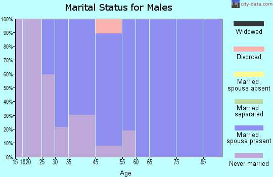 Davidsville marital status for males