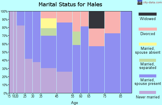 Delaware Water Gap marital status for males