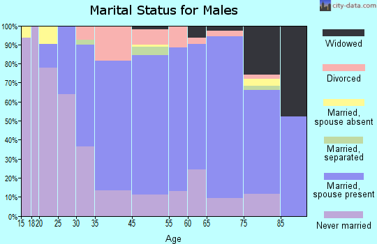 Dickson City marital status for males