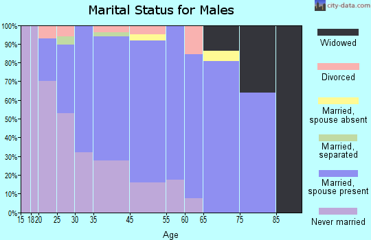 Dravosburg marital status for males