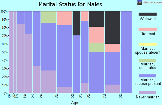 Dushore marital status for males