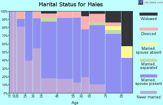 East Brady marital status for males