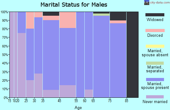 Elverson marital status for males