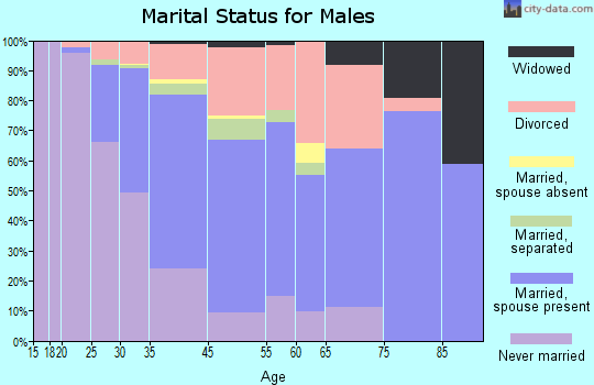 El Segundo marital status for males