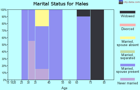 Englewood marital status for males
