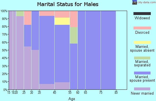 Enon Valley marital status for males