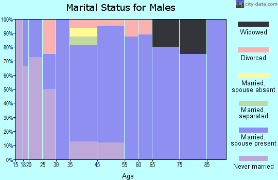 Fernville marital status for males