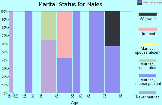 Foundryville marital status for males