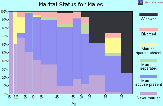 Fountain Hill marital status for males
