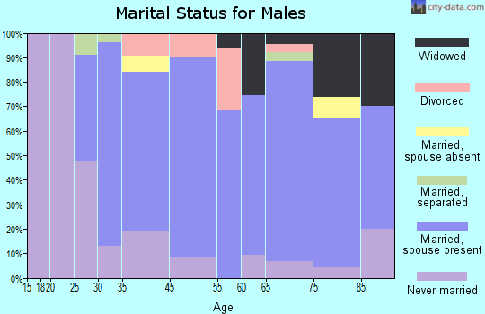 Geistown marital status for males