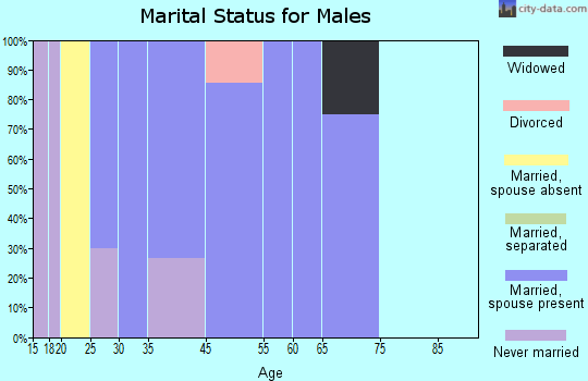 Georgetown marital status for males