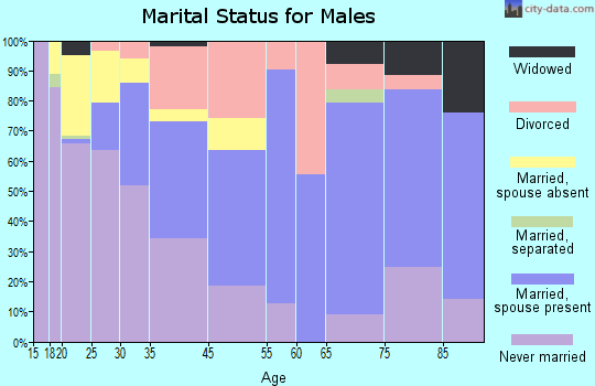 Gettysburg marital status for males