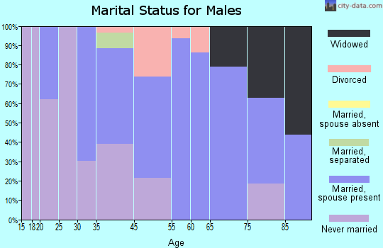 Grindstone-Rowes Run marital status for males