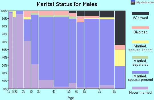 Hampton Township marital status for males