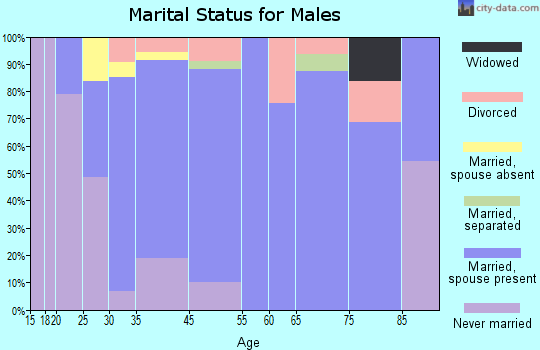 Hokendauqua marital status for males