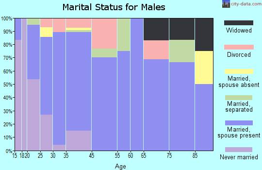 Honey Brook marital status for males