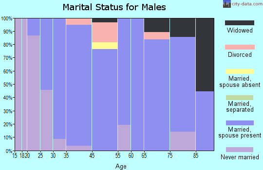 Hyndman marital status for males
