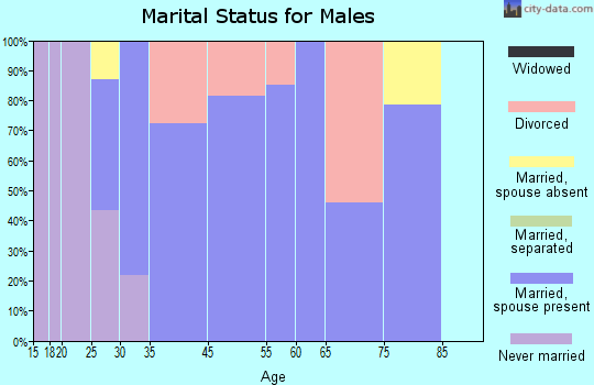 Jamestown marital status for males