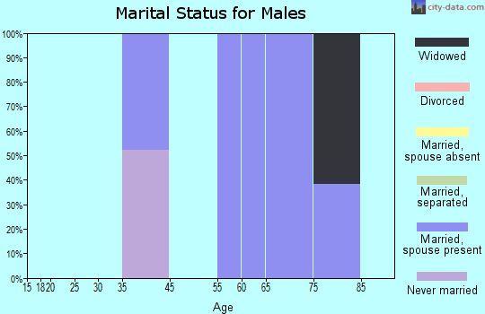 Farmington marital status for males
