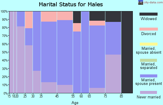 Jennerstown marital status for males