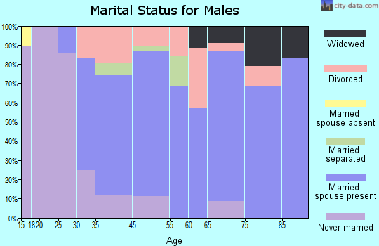 Johnsonburg marital status for males