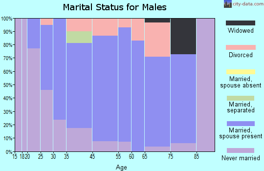 Ferndale marital status for males