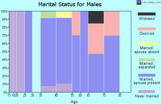 Lake Heritage marital status for males