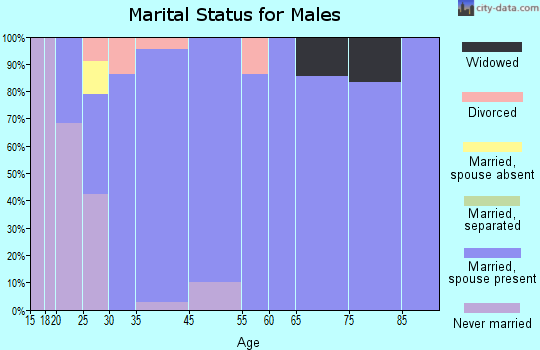 Lake Meade marital status for males
