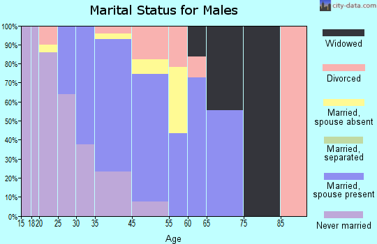 Fetters Hot Springs-Agua Caliente marital status for males
