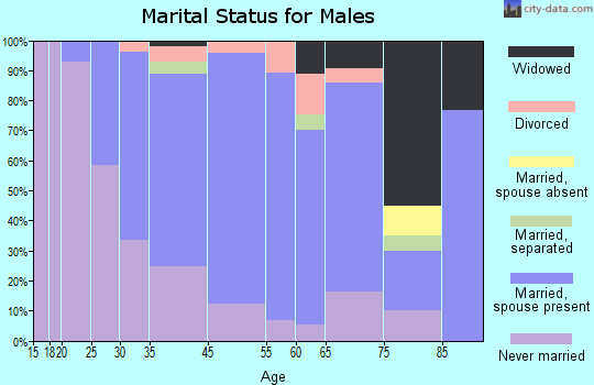 Larksville marital status for males