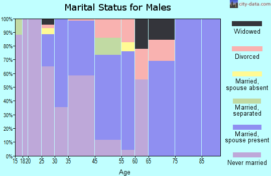 Laurel Run marital status for males