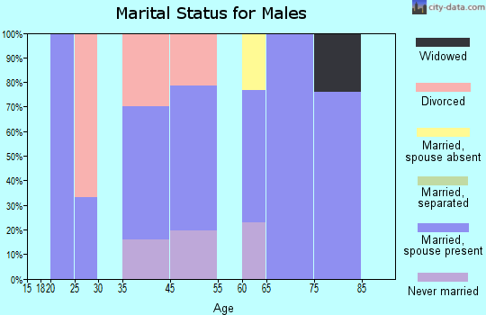 Lavelle-Locustdale marital status for males
