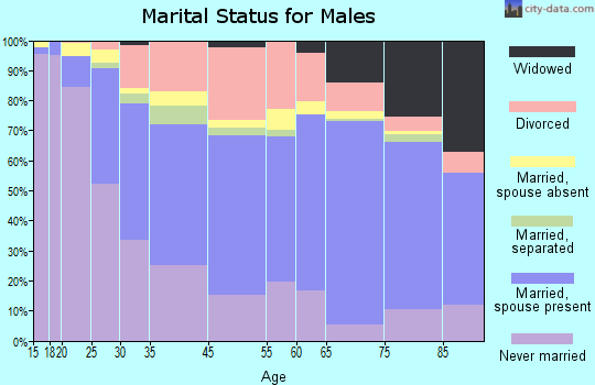 Lebanon marital status for males