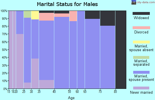 Lebanon South marital status for males