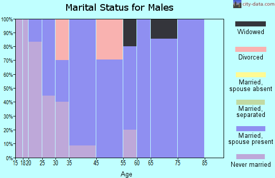 Le Raysville marital status for males