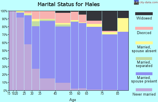 Levittown marital status for males