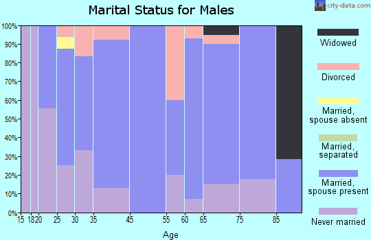 Lewis Run marital status for males