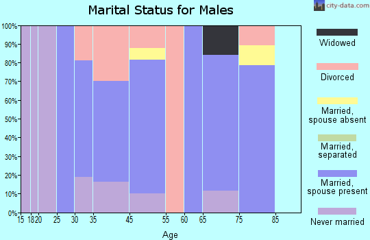 Lightstreet marital status for males