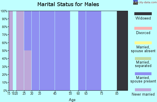 Locustdale marital status for males