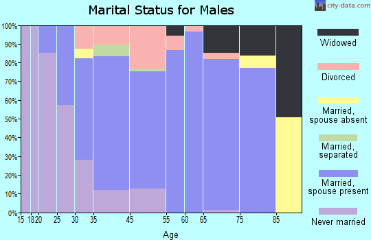 Lower Allen marital status for males